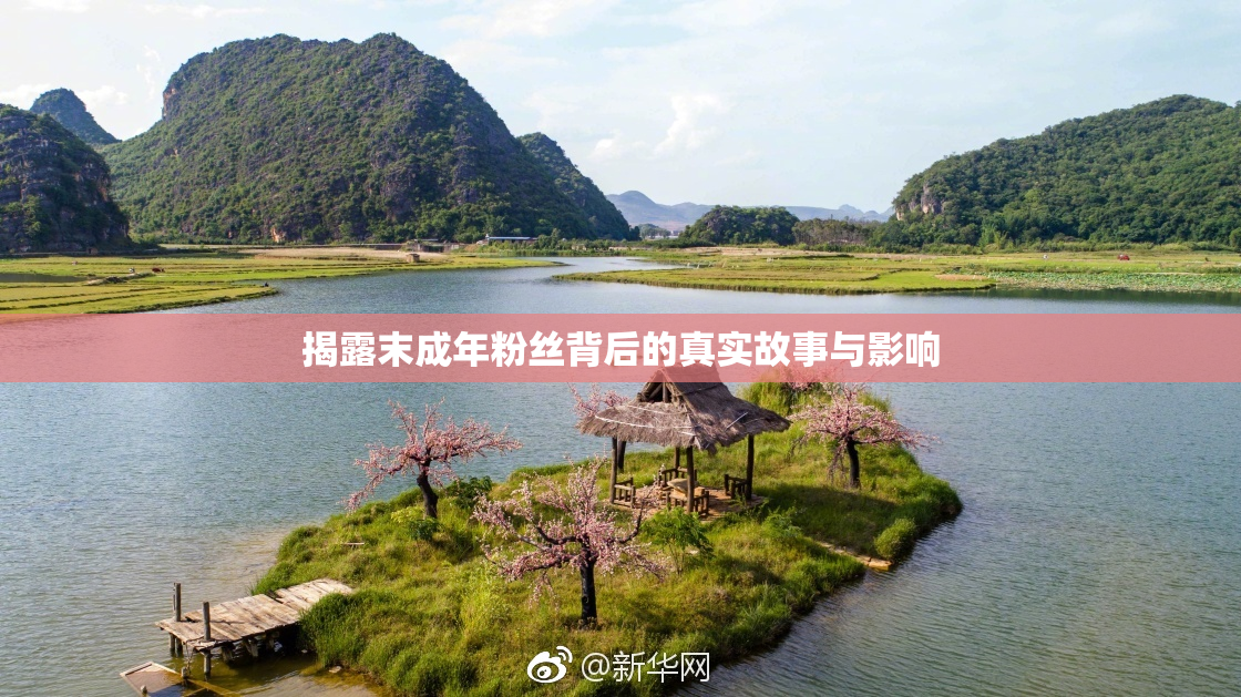 揭露末成年粉丝背后的真实故事与影响