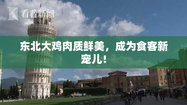 东北大鸡肉质鲜美，成为食客新宠儿！