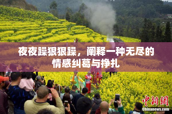 夜夜躁狠狠躁，阐释一种无尽的情感纠葛与挣扎