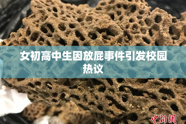女初高中生因放屁事件引发校园热议