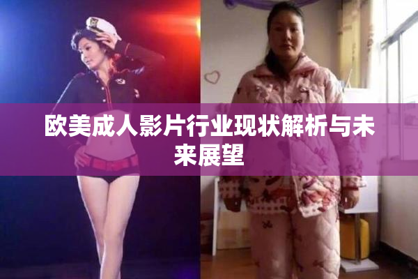 欧美成人影片行业现状解析与未来展望