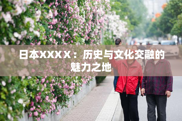 日本XXXⅩ：历史与文化交融的魅力之地