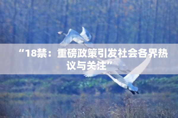 “18禁：重磅政策引发社会各界热议与关注”