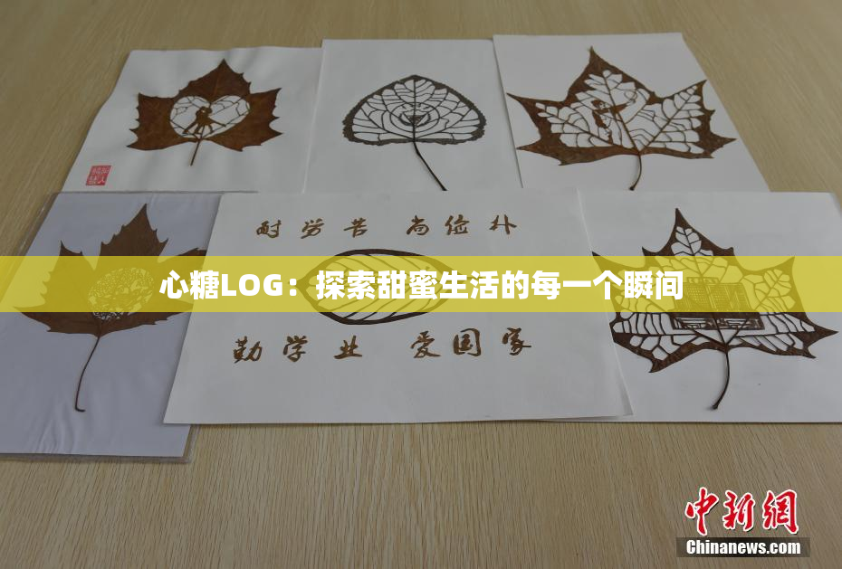 心糖LOG：探索甜蜜生活的每一个瞬间