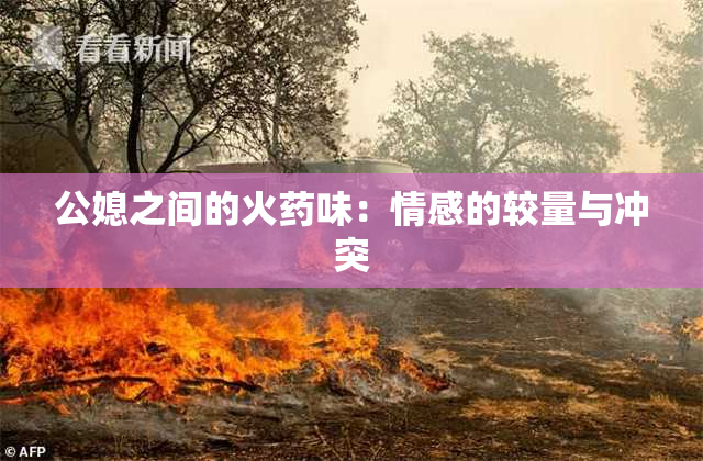 公媳之间的火药味：情感的较量与冲突