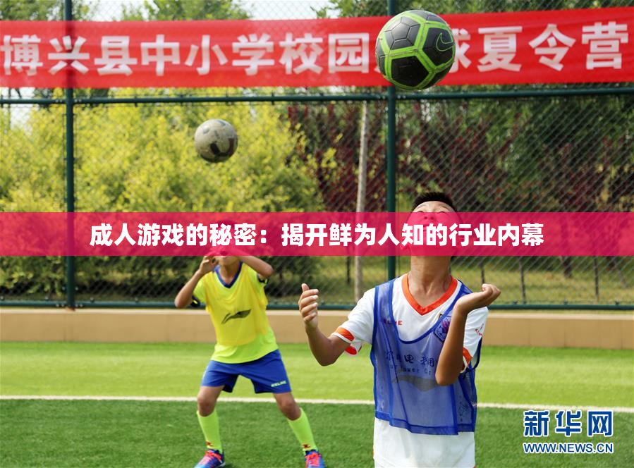成人游戏的秘密：揭开鲜为人知的行业内幕