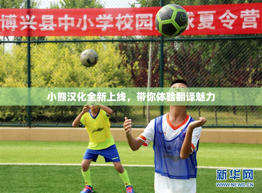 小熊汉化全新上线，带你体验翻译魅力