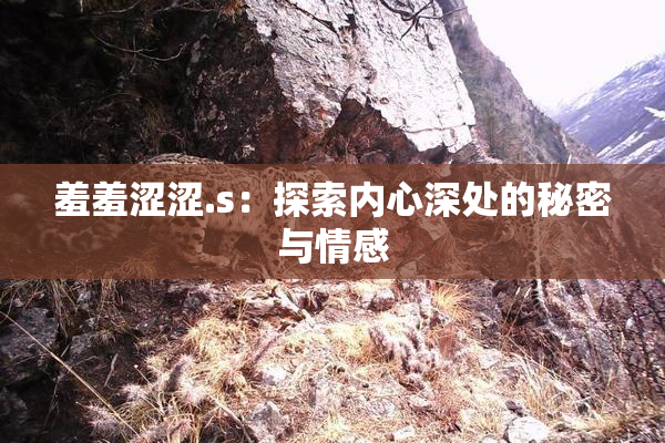 羞羞涩涩.s：探索内心深处的秘密与情感