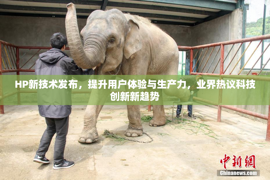HP新技术发布，提升用户体验与生产力，业界热议科技创新新趋势