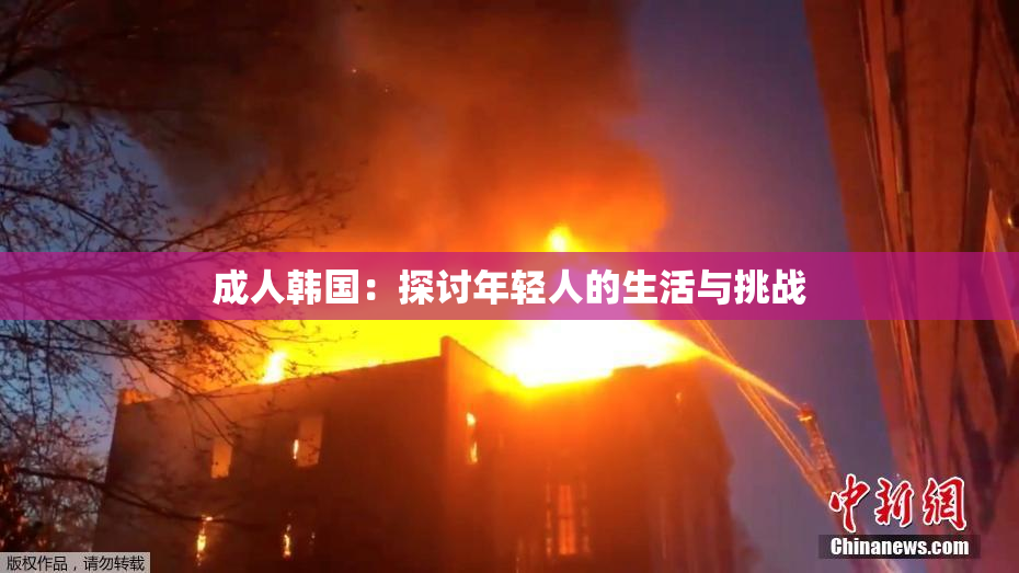 成人韩国：探讨年轻人的生活与挑战