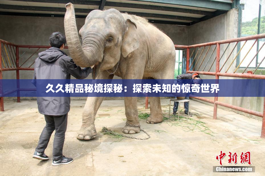 久久精品秘境探秘：探索未知的惊奇世界