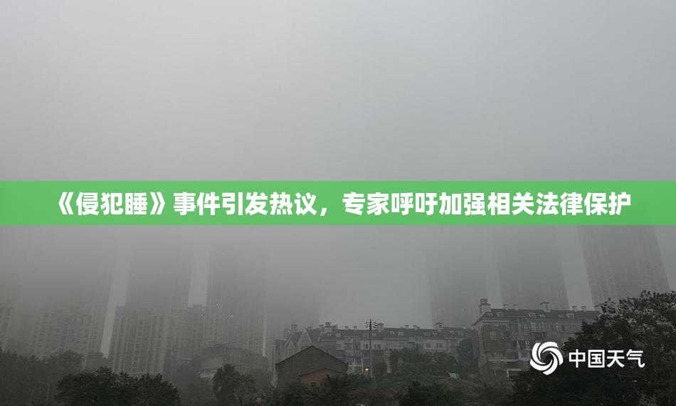 《侵犯睡》事件引发热议，专家呼吁加强相关法律保护