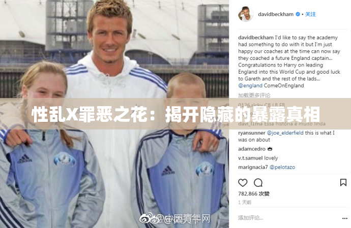 性乱X罪恶之花：揭开隐藏的暴露真相