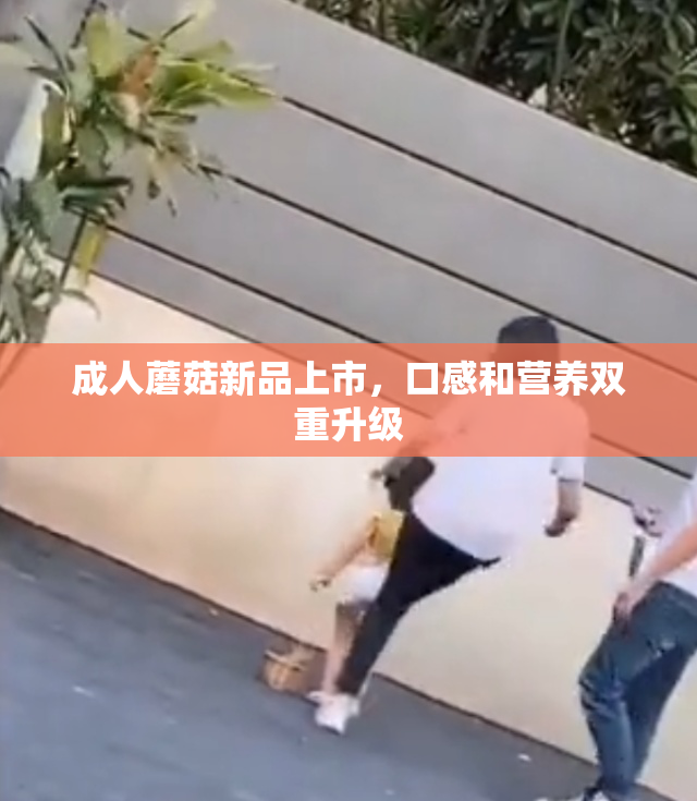 成人蘑菇新品上市，口感和营养双重升级
