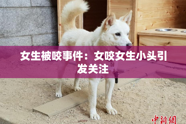 女生被咬事件：女咬女生小头引发关注