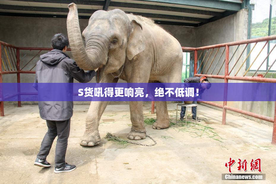 S货吼得更响亮，绝不低调！
