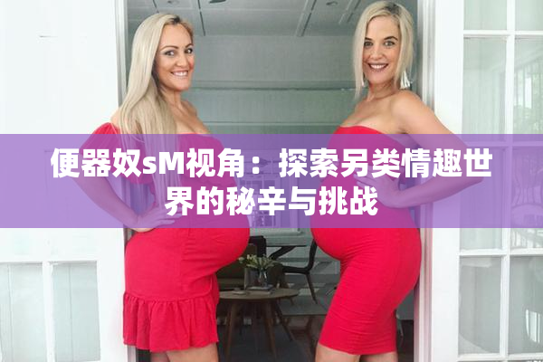 便器奴sM视角：探索另类情趣世界的秘辛与挑战