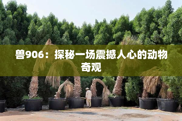 兽906：探秘一场震撼人心的动物奇观