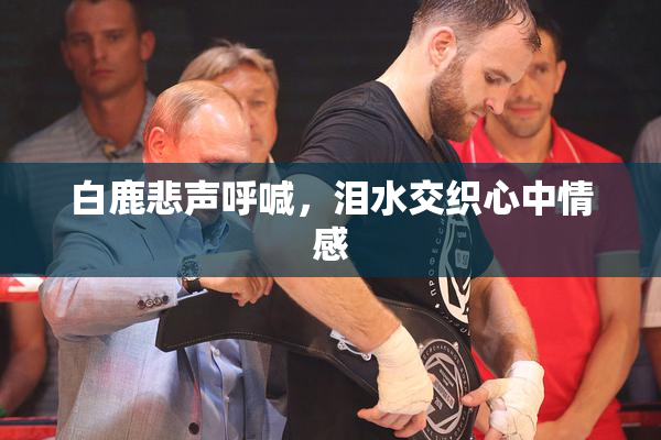 白鹿悲声呼喊，泪水交织心中情感