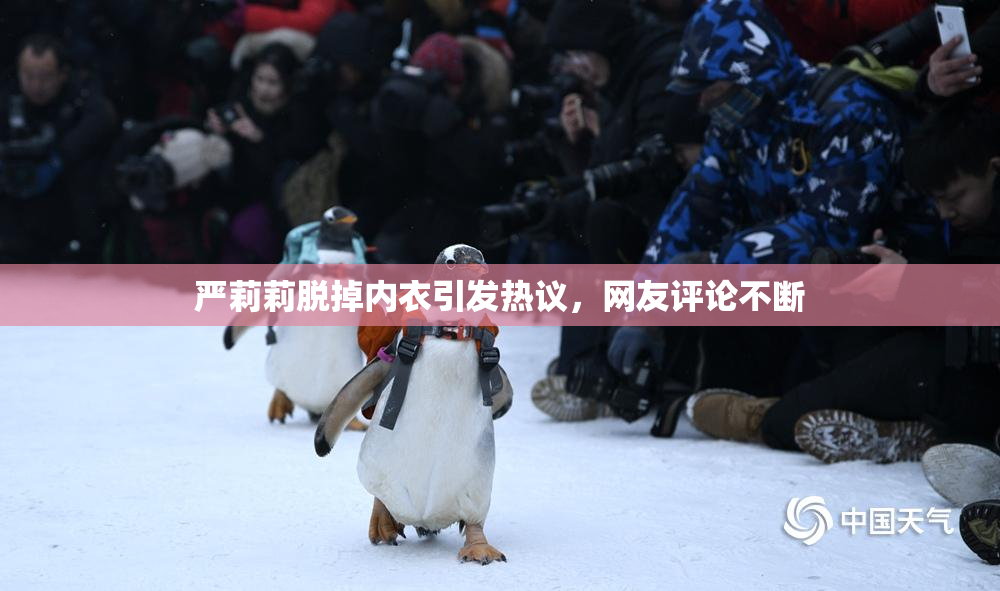 严莉莉脱掉内衣引发热议，网友评论不断