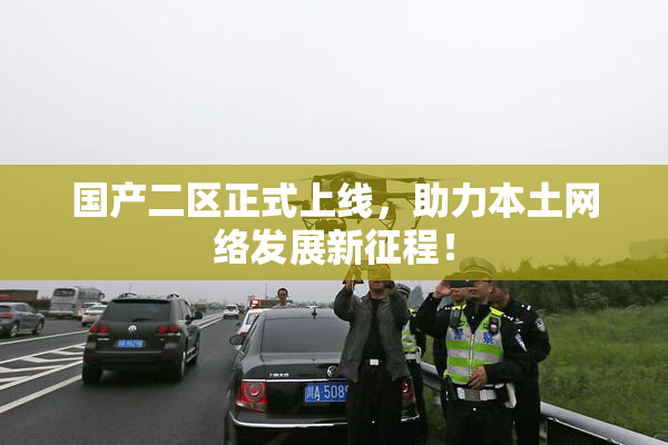 国产二区正式上线，助力本土网络发展新征程！