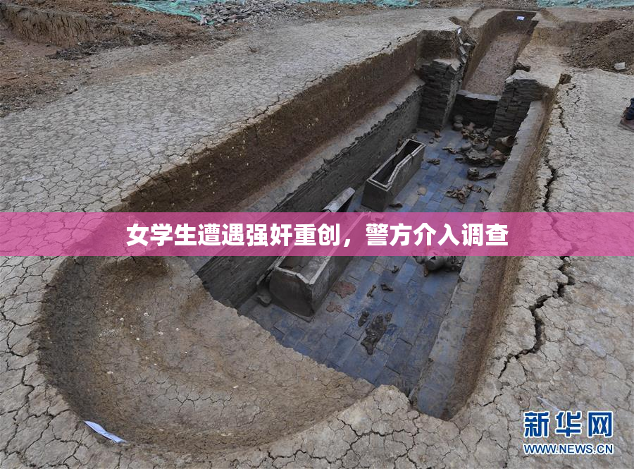 女学生遭遇强奸重创，警方介入调查