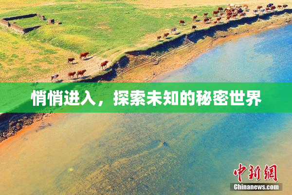 悄悄进入，探索未知的秘密世界