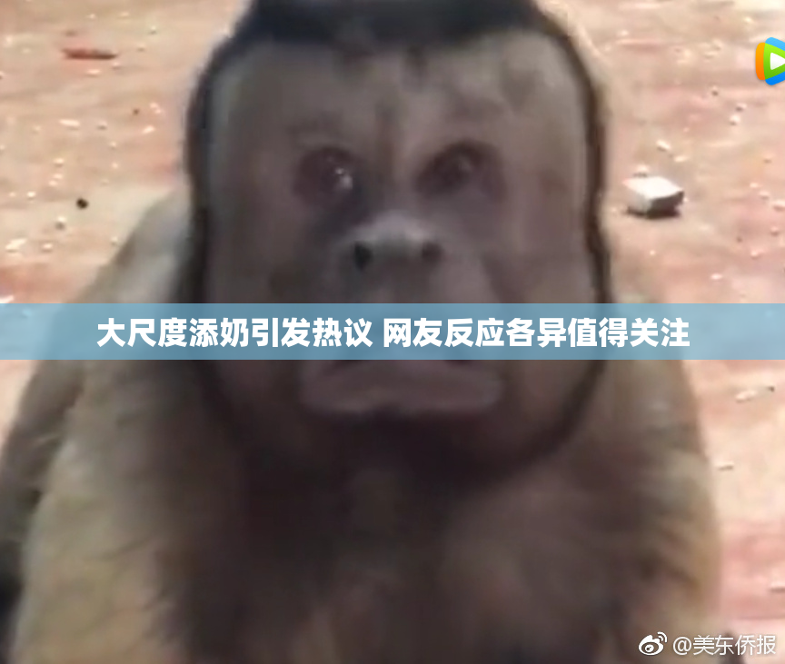 大尺度添奶引发热议 网友反应各异值得关注