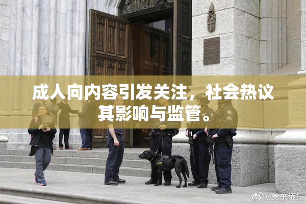 成人向内容引发关注，社会热议其影响与监管。