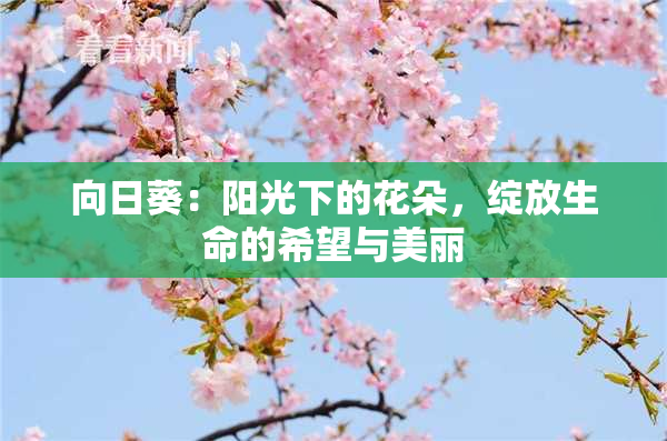 向日葵：阳光下的花朵，绽放生命的希望与美丽