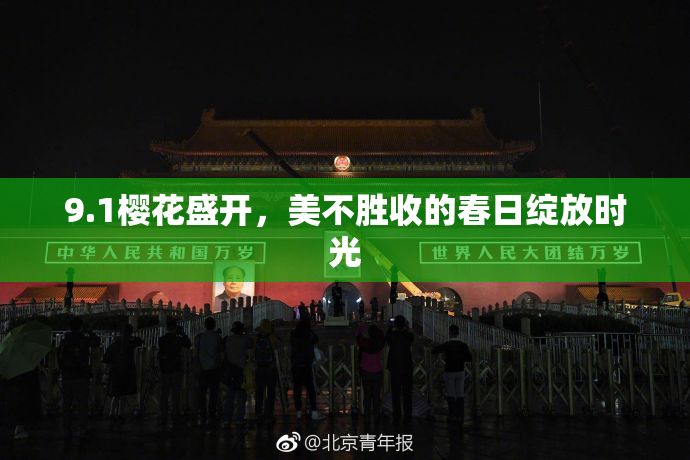 9.1樱花盛开，美不胜收的春日绽放时光