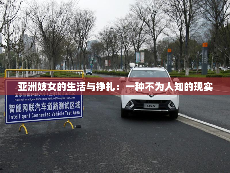 亚洲妓女的生活与挣扎：一种不为人知的现实