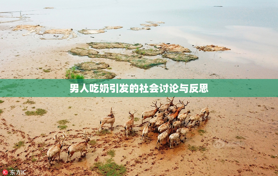 男人吃奶引发的社会讨论与反思