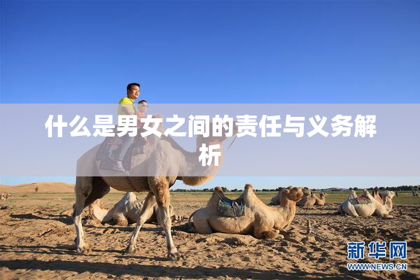 什么是男女之间的责任与义务解析