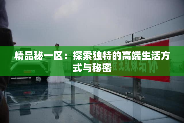 精品秘一区：探索独特的高端生活方式与秘密