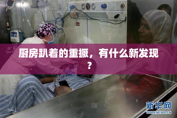 厨房趴着的重撅，有什么新发现？