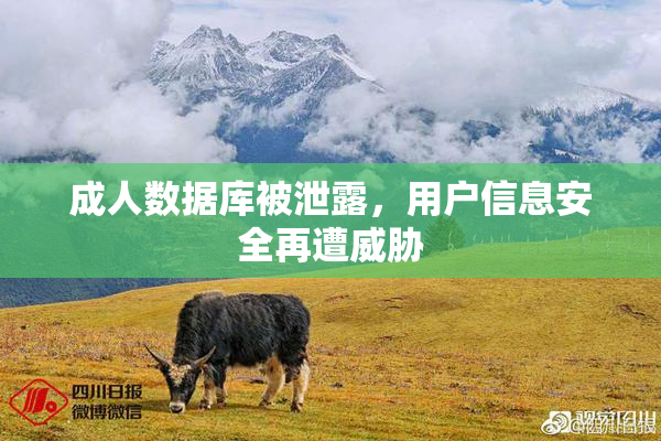 成人数据库被泄露，用户信息安全再遭威胁