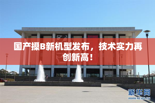 国产搡B新机型发布，技术实力再创新高！