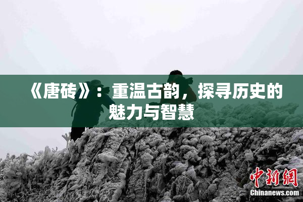 《唐砖》：重温古韵，探寻历史的魅力与智慧