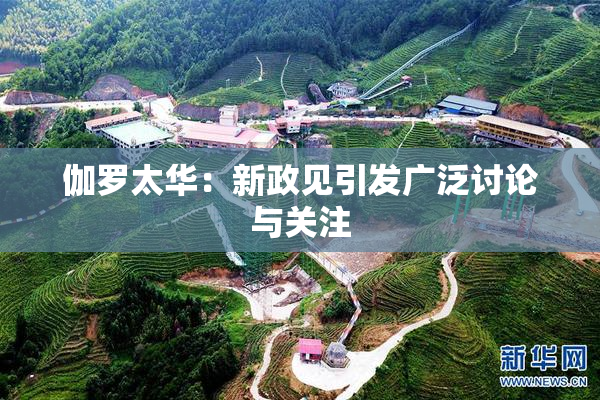 伽罗太华：新政见引发广泛讨论与关注