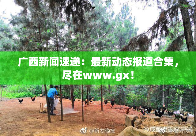 广西新闻速递：最新动态报道合集，尽在www.gx！