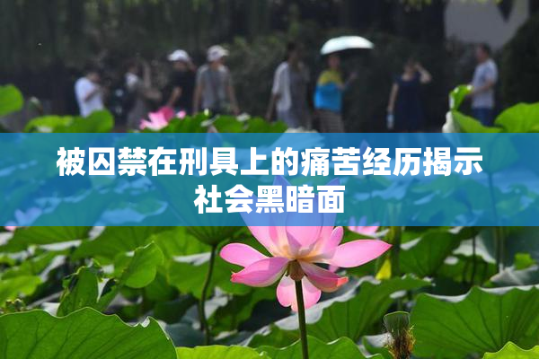 被囚禁在刑具上的痛苦经历揭示社会黑暗面