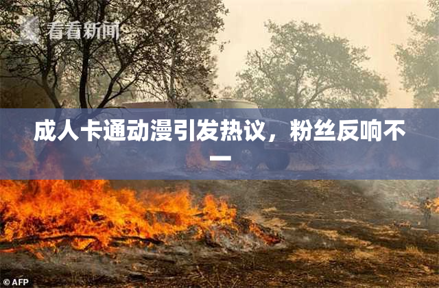 成人卡通动漫引发热议，粉丝反响不一