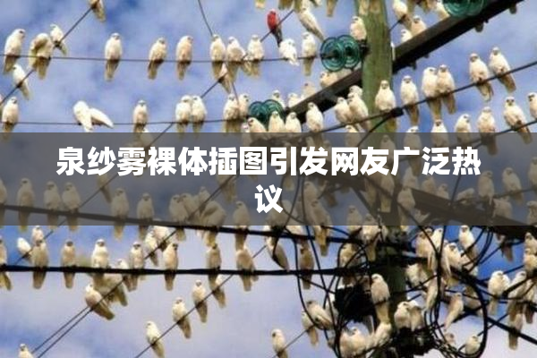 泉纱雾裸体插图引发网友广泛热议