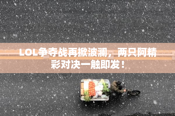 LOL争夺战再掀波澜，两只阿精彩对决一触即发！