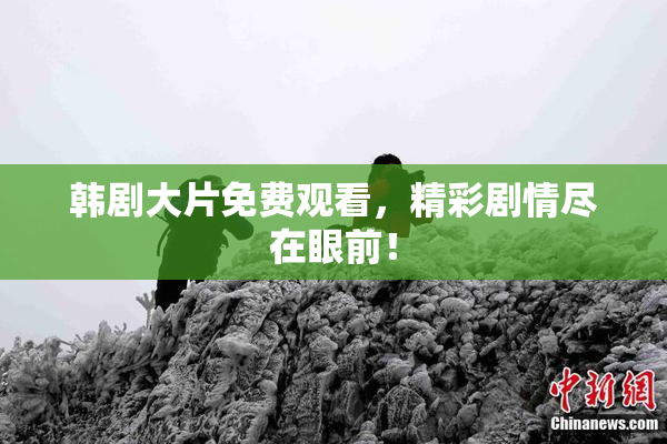 韩剧大片免费观看，精彩剧情尽在眼前！