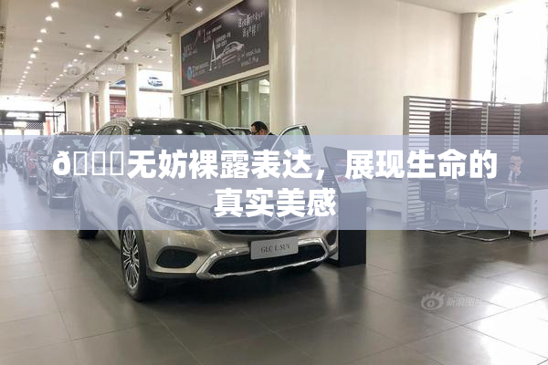 🔞无妨裸露表达，展现生命的真实美感
