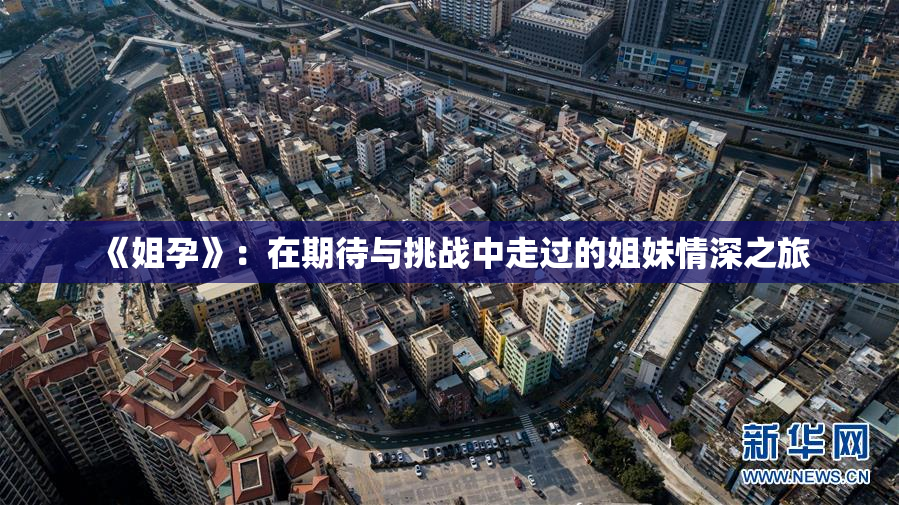 《姐孕》：在期待与挑战中走过的姐妹情深之旅