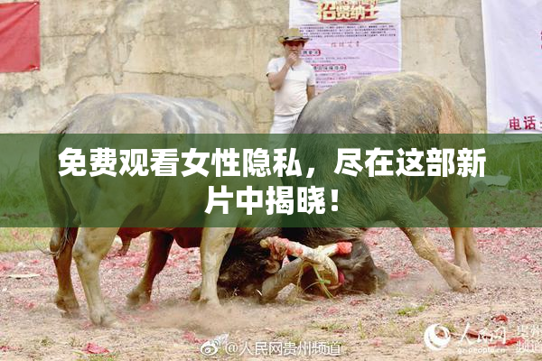 免费观看女性隐私，尽在这部新片中揭晓！