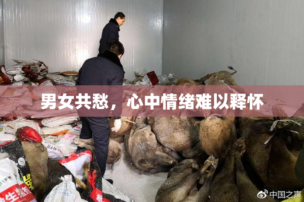 男女共愁，心中情绪难以释怀